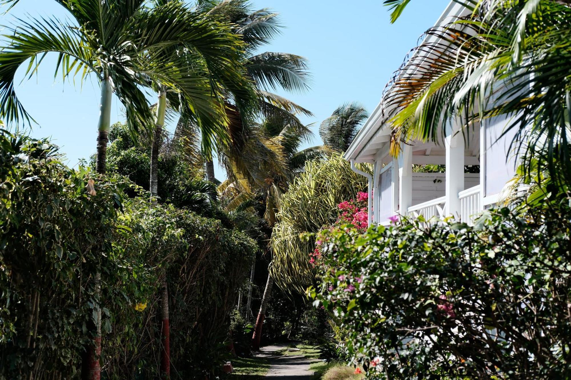 Nid Kreyol Villa Sainte-Anne  Exterior photo